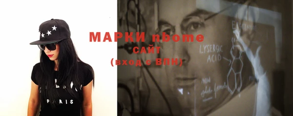 индика Долгопрудный