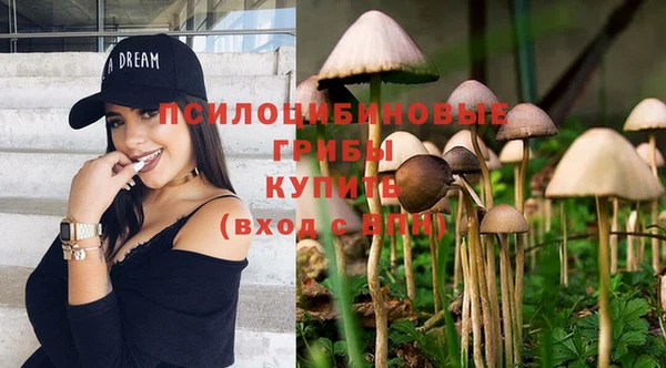 2c-b Кулебаки