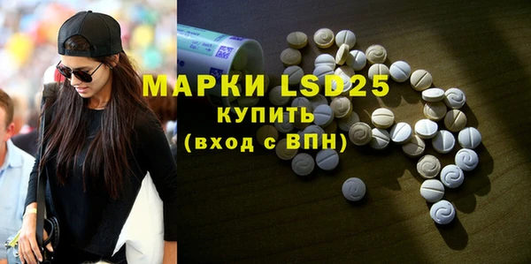 индика Березники