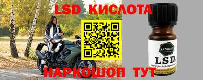 прущие грибы Азнакаево