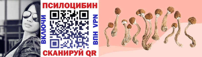 кракен ТОР  Чапаевск  Псилоцибиновые грибы Psilocybine cubensis 