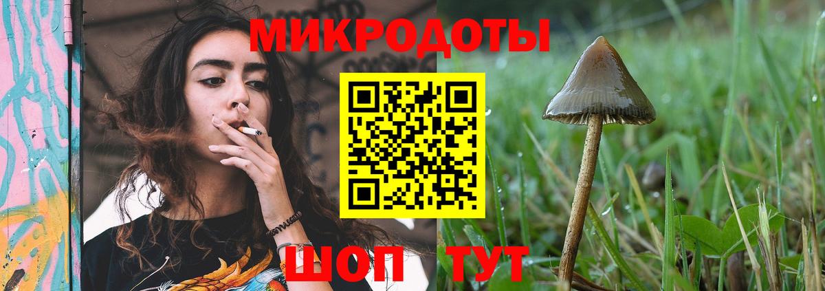 Чапаевск  Галлюциногенные грибы Magic Shrooms  Вход с VPN  Псилоцибиновые грибы Magic Shrooms 