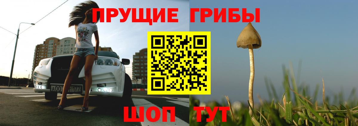 Галлюциногенные грибы Psilocybine cubensis Чапаевск